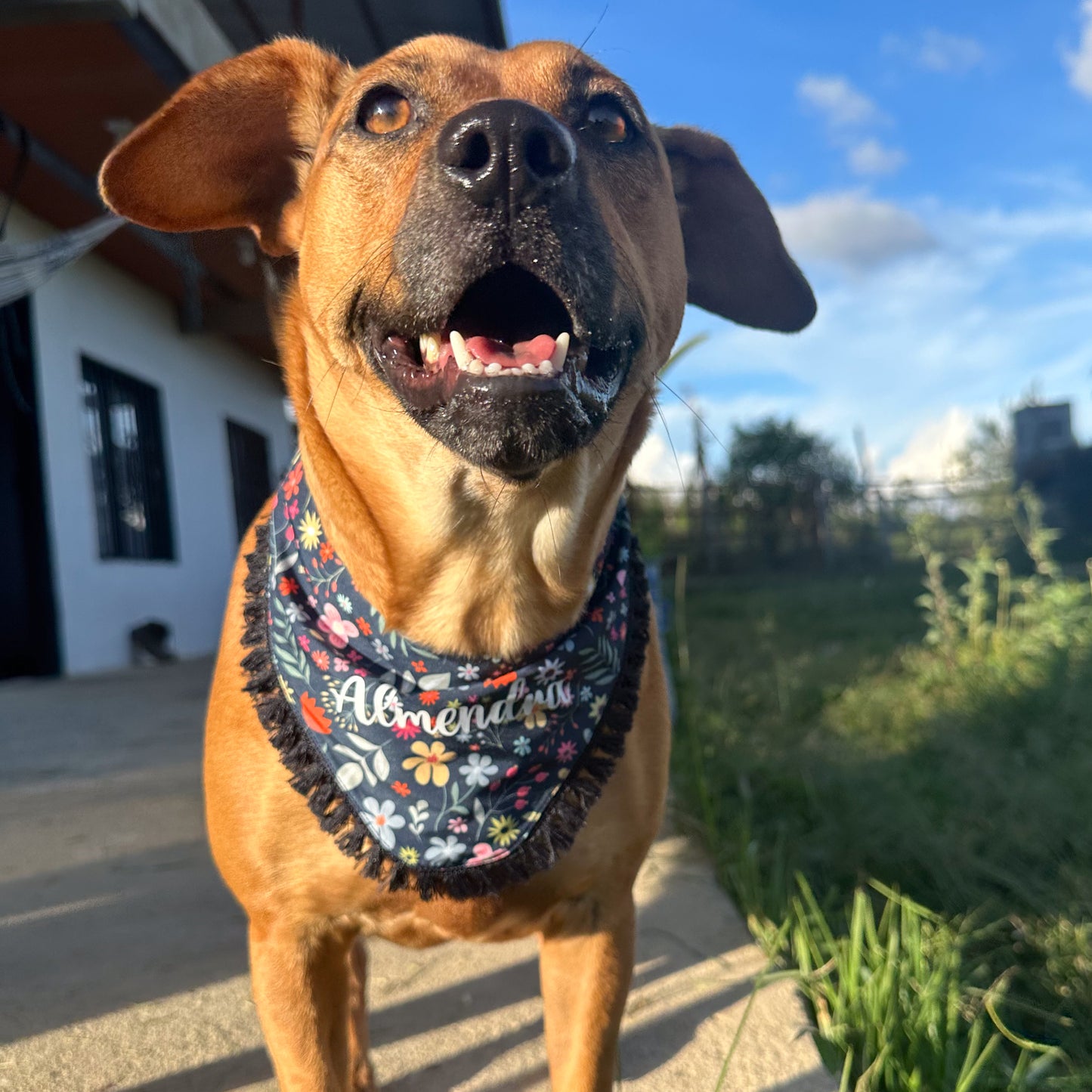 Bandana Floral Midnight