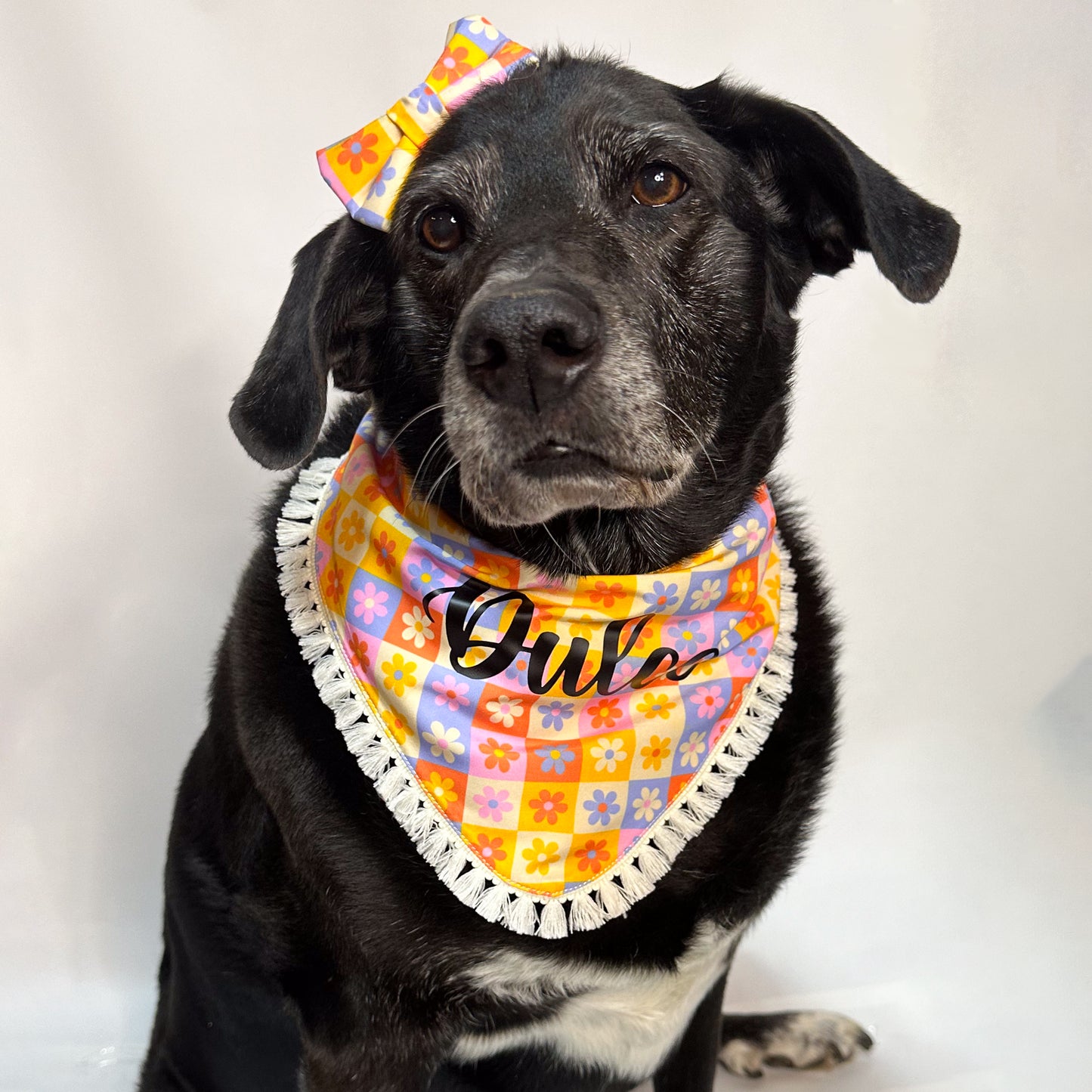 Bandana Blossom
