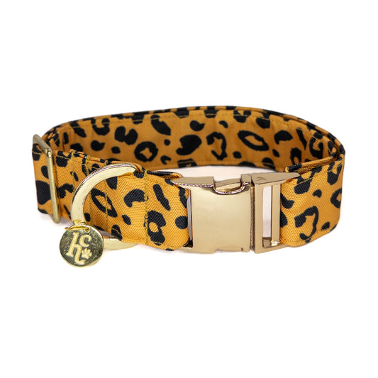 Collar Leopard