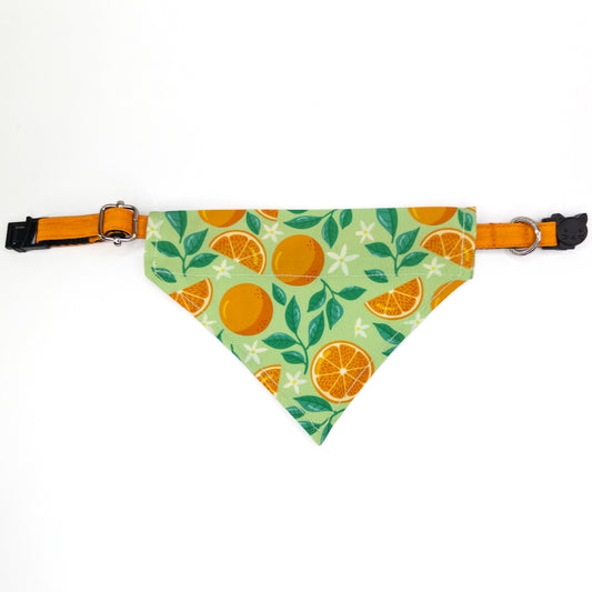 Bandana Gato Naranja Pop