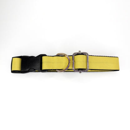 Collar Amarillo Pastel