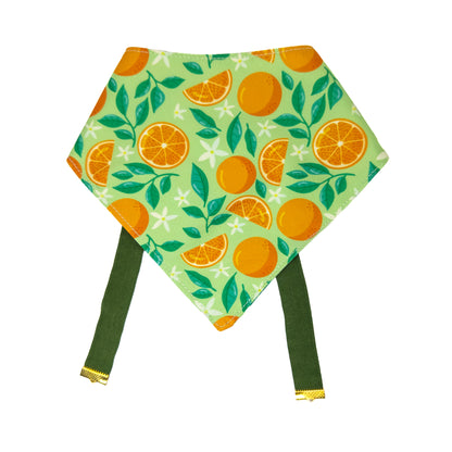 Bandana Naranja Pop