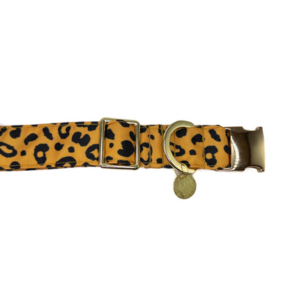 Collar Leopard