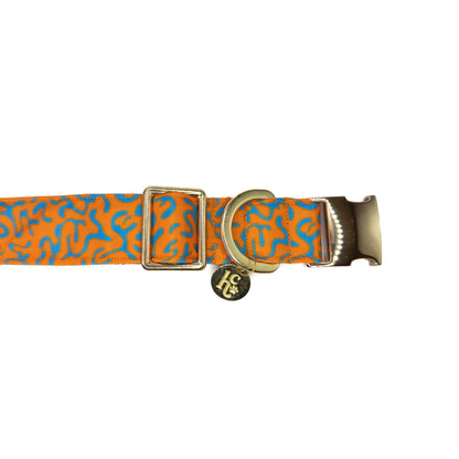 Collar Orange Fusion